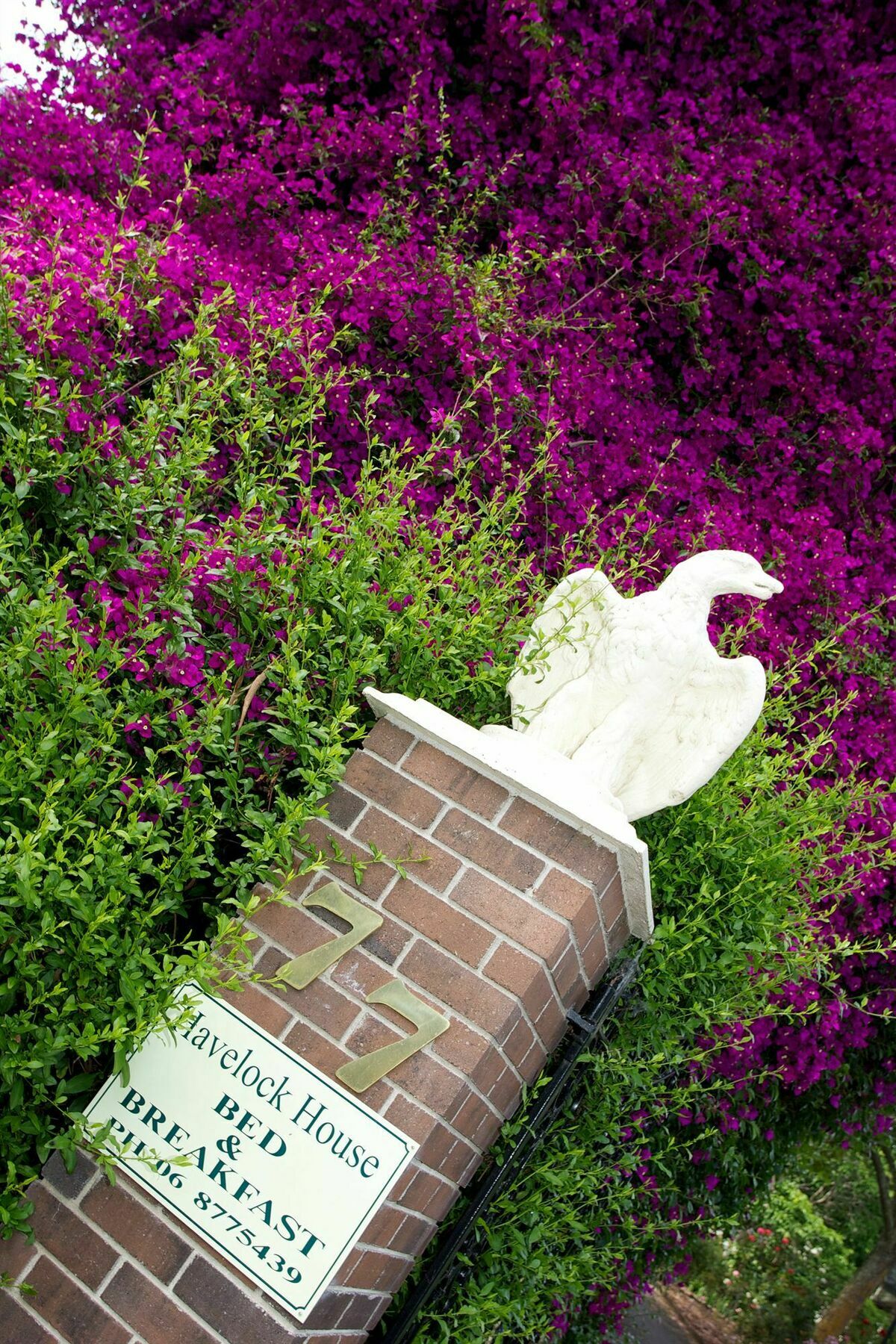 Havelock House Bed and Breakfast Havelock North Εξωτερικό φωτογραφία